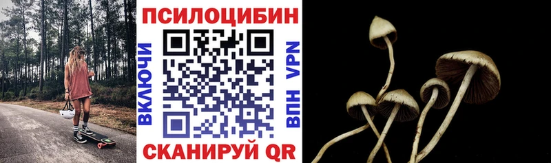 Галлюциногенные грибы Psilocybe  Ликино-Дулёво 