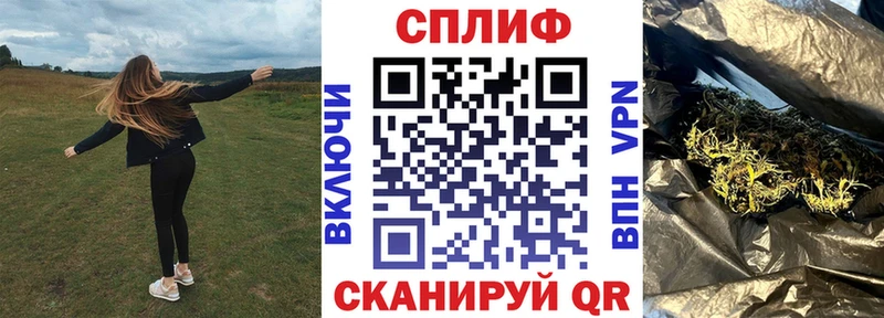 Каннабис сатива  Ликино-Дулёво 